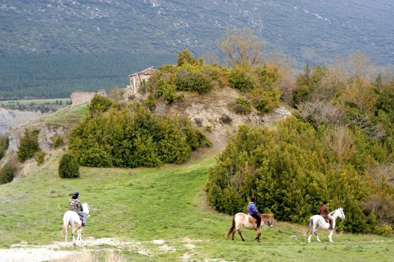 Pilare, A Puertas Del Pirineo Navarro Appartement